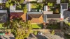 46 Allison Street, Ascot Park SA 5043-Image