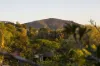 46 Avalon Street, Coolum Beach, Qld 4573-Image