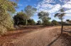 46 Bateman Street, Northampton, WA 6535-Image
