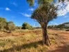 46 Bateman Street, Northampton, WA 6535-Image