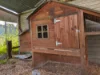 46 Bedford Street, Bentley, WA 6102-Image