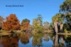 46 Bedford Street, Bentley, WA 6102-Image