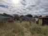 46 Bedford Street, Bentley, WA 6102-Image