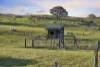 46 Captain Robertson Drive, Burra, NSW 2620-Image