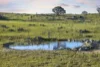 46 Captain Robertson Drive, Burra, NSW 2620-Image