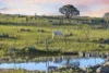 46 Captain Robertson Drive, Burra, NSW 2620-Image