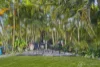 46 Cocoanut Point Drive, Zilzie, Qld 4710-Image