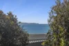 46 Dorman Street, Lorne, Vic 3232-Image