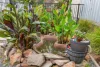 46 Eliza Place, Panorama, SA 5041-Image