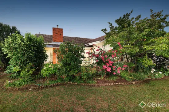 46 Elmwood Circuit, Wodonga, Vic 3690