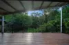 46 Fern Gully Place, Mooloolah Valley, Qld 4553-Image