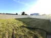 46 Fleet Street, Branxton, NSW 2335-Image