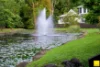 46 Freshwater Avenue, Palm Cove, Qld 4879-Image
