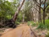 46 Fryers Road, Hervey Range, Qld 4817-Image