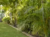 46 Grebe Circuit, North Lakes, Qld 4509-Image