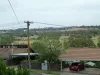 46 Harold Street, Ascot Vale, Vic 3032-Image