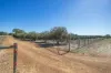 46 Homestead Loop, Jurien Bay, WA 6516-Image