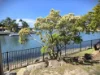 46 Jacaranda Drive, Bongaree, Qld 4507-Image