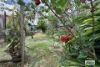 46 Janda Street, Atherton, Qld 4883-Image