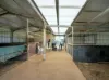 46 Kleinton School Road, Kleinton, Qld 4352-Image