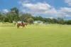 46 Knobby Glen Road, Kandanga, Qld 4570-Image