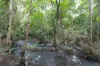 46 Knobby Glen Road, Kandanga, Qld 4570-Image