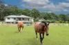 46 Knobby Glen Road, Kandanga, Qld 4570-Image
