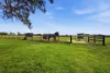 46 Kyle Street, Rosedale, Vic 3847-Image