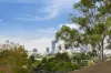 46 Lone Pine Street, Enoggera, Qld 4051-Image