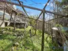 46 Long Gully Road, Flowerdale, Vic 3717-Image
