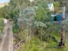 46 Long Gully Road, Flowerdale, Vic 3717-Image