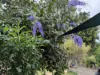 46 Maple Terrace, Tully, Qld 4854-Image