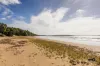 46 Melba St, Armstrong Beach, Qld 4737-Image
