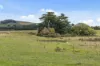 46 Millers Road, Lancefield, Vic 3435-Image