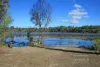 46 Murphy Street, Blaxland, NSW 2774-Image