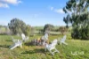 46 Napoleon Street, Greendale, Vic 3341-Image