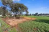 46 Newland Terrace, Moonta, SA 5558-Image