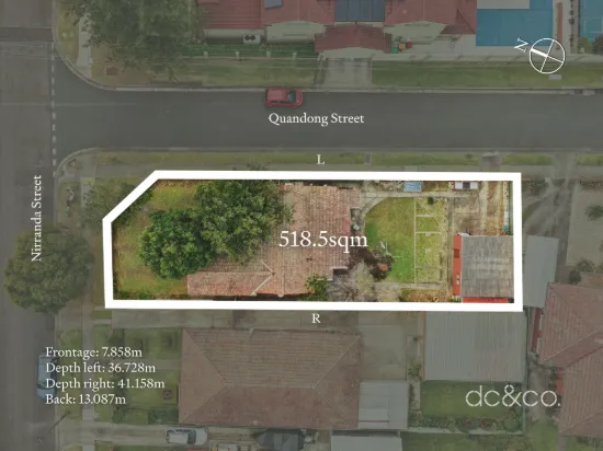 46 Nirranda Street, Concord West, NSW 2138