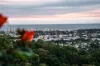 46 Panorama Crescent, Buderim, Qld 4556-Image