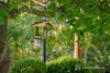 46 Riversdale Road, Table Top, NSW 2640-Image