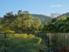 46 Rosewood Street, Bardon, Qld 4065-Image