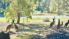 46 Russell Drive, Waroona, WA 6215-Image