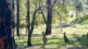 46 Russell Drive, Waroona, WA 6215-Image
