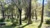 46 Russell Drive, Waroona, WA 6215-Image