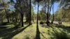 46 Russell Drive, Waroona, WA 6215-Image