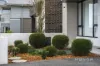 46 Solstice Street, Box Hill, NSW 2765-Image