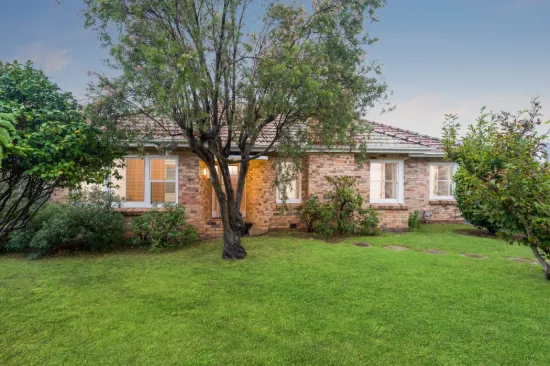 46 South Street, Belmont, Vic 3216