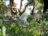 46 Tecoma road, Risdon Vale, Tas 7016-Image