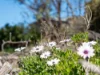 46 Tecoma road, Risdon Vale, Tas 7016-Image