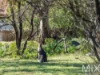 46 Tecoma road, Risdon Vale, Tas 7016-Image
